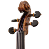 Master Linn Maple Leaf Strings Professional Viola with Case String Power - Violin Shop