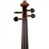 Master Linn Maple Leaf Strings Professional Viola with Case