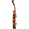 Master Linn Maple Leaf Strings Professional Viola with Case String Power - Violin Shop