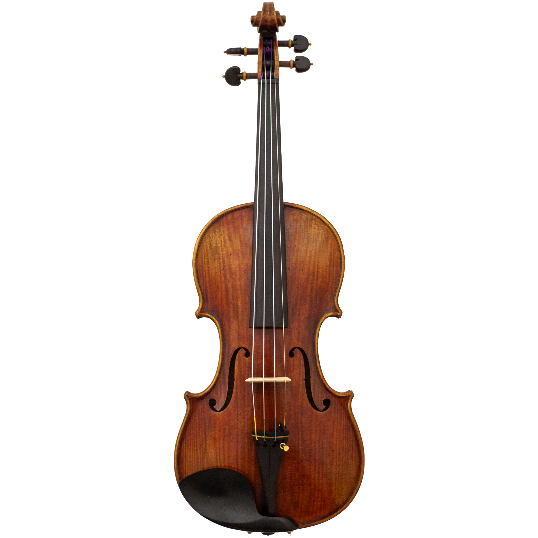 Master Linn Maple Leaf Strings Professional Viola with Case String Power - Violin Shop