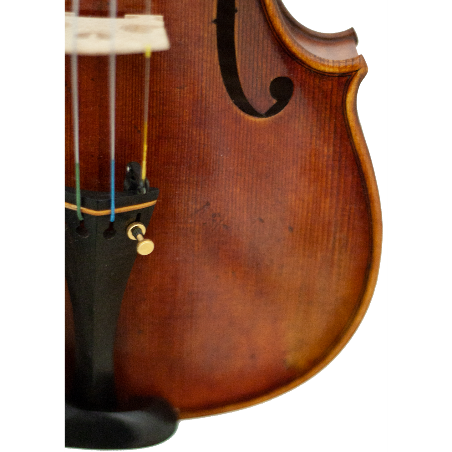 Master Linn Maple Leaf Strings Professional Violin with Case String Power - Violin Shop