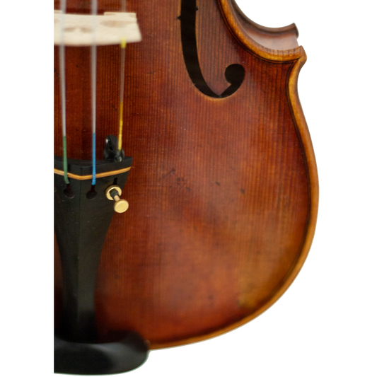 Master Linn Maple Leaf Strings Professional Violin with Case String Power - Violin Shop