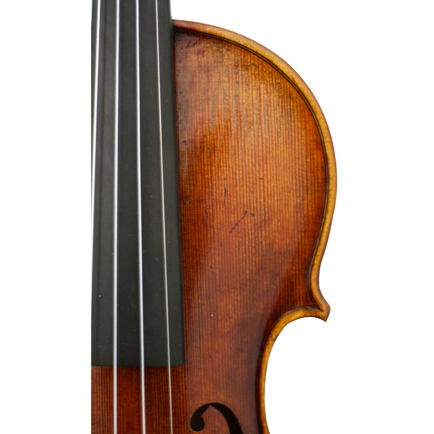 Master Linn Maple Leaf Strings Professional Violin with Case String Power - Violin Shop