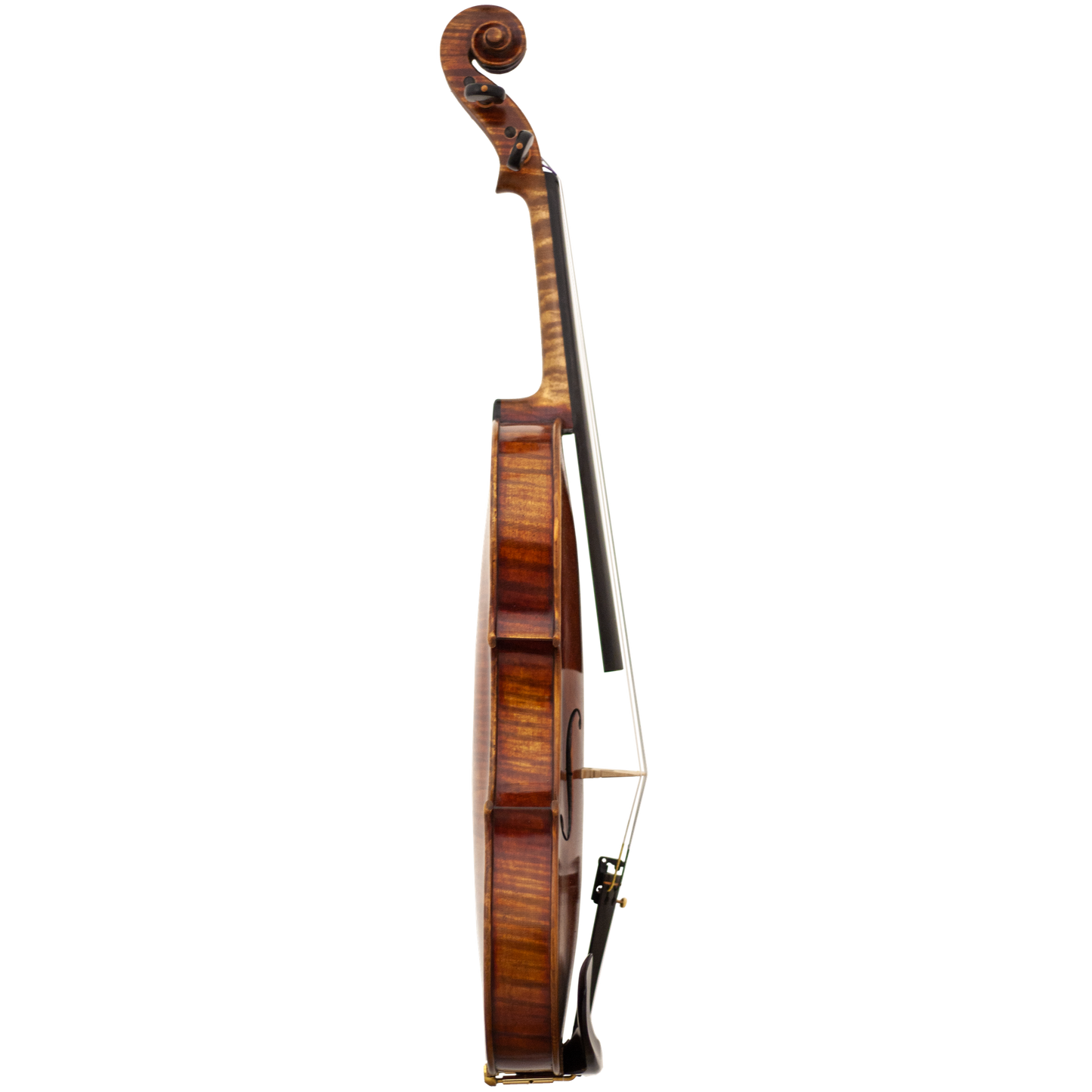 Master Linn Maple Leaf Strings Professional Violin with Case String Power - Violin Shop