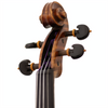 Master Linn Maple Leaf Strings Professional Violin with Case
