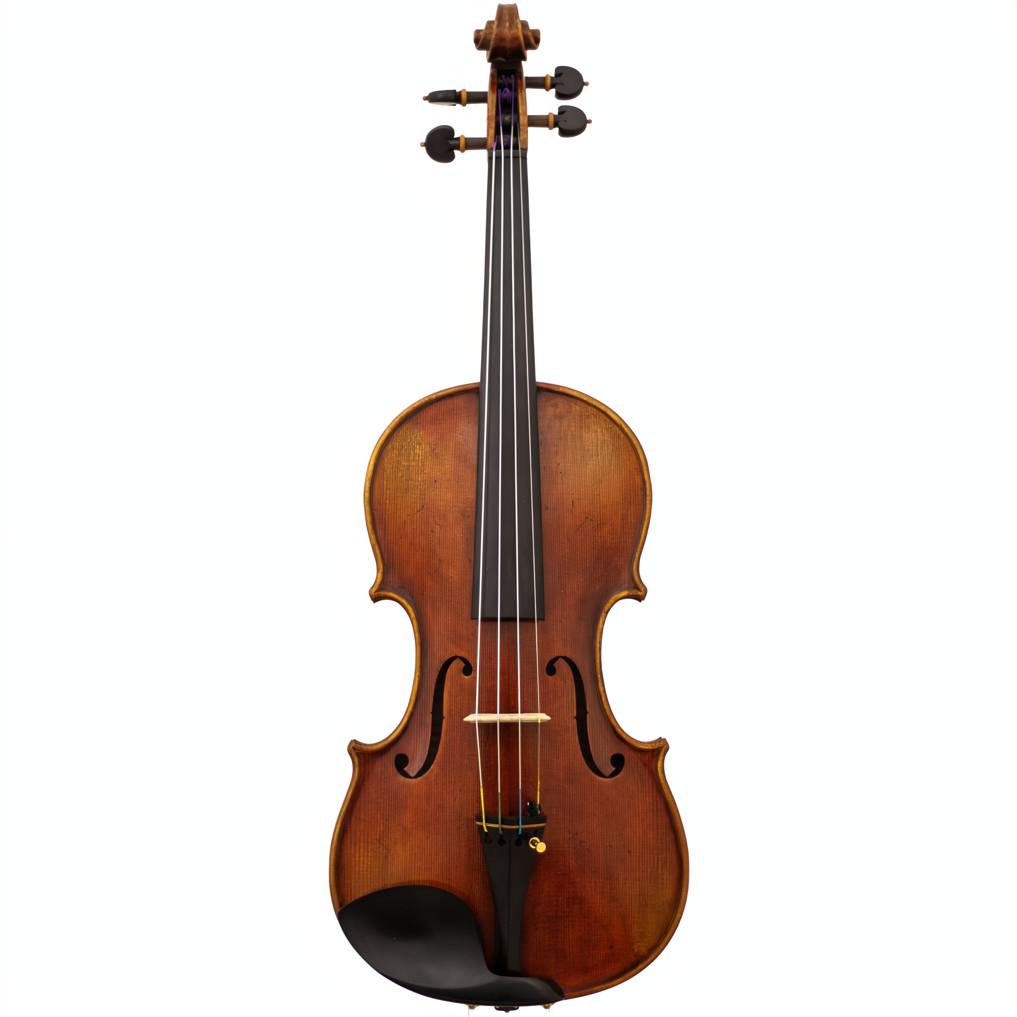 Master Linn Maple Leaf Strings Professional Violin with Case