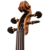 Master Lucienne Maple Leaf Strings Professional Viola with Case String Power - Violin Shop
