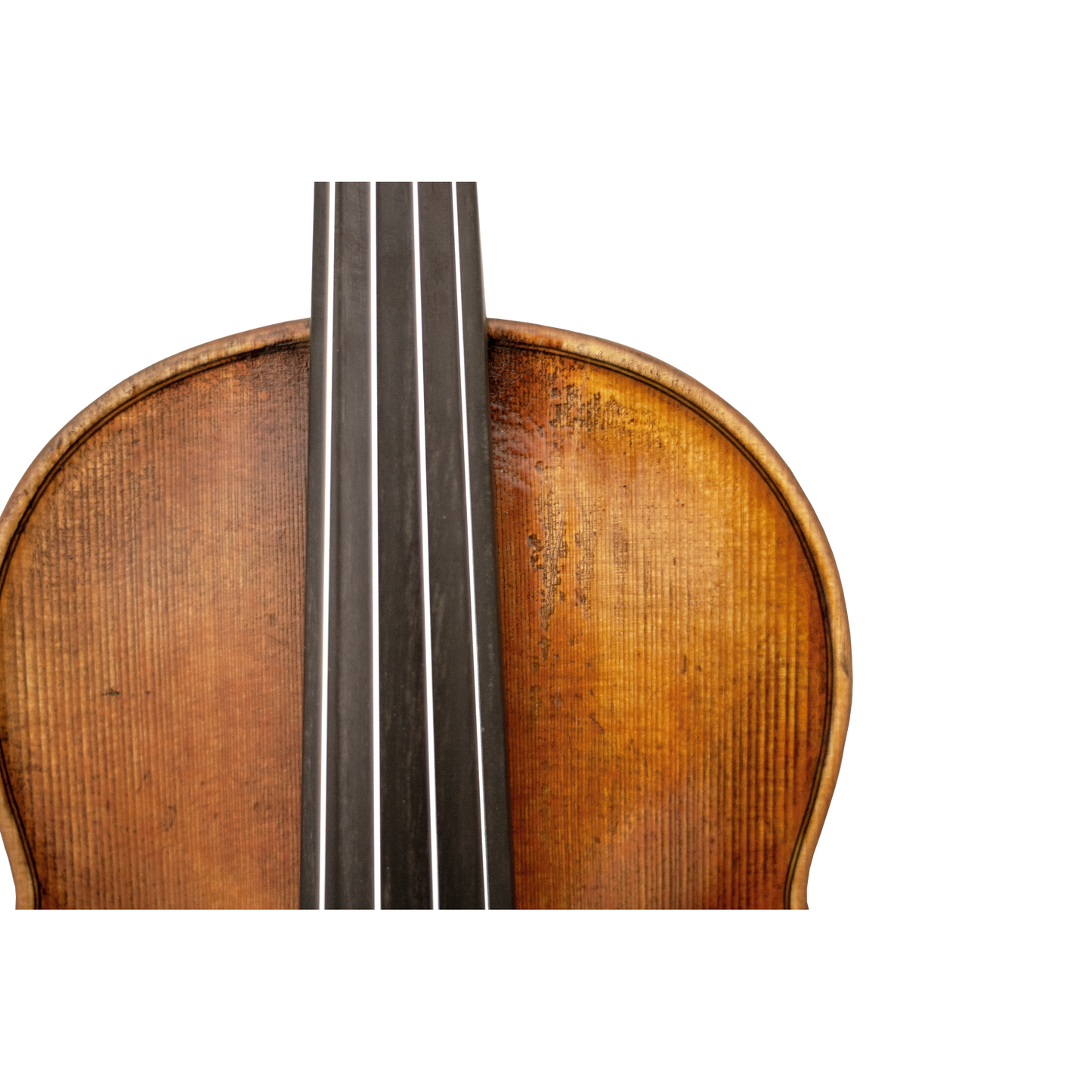 Master Lucienne Maple Leaf Strings Professional Violin with Case String Power - Violin Shop