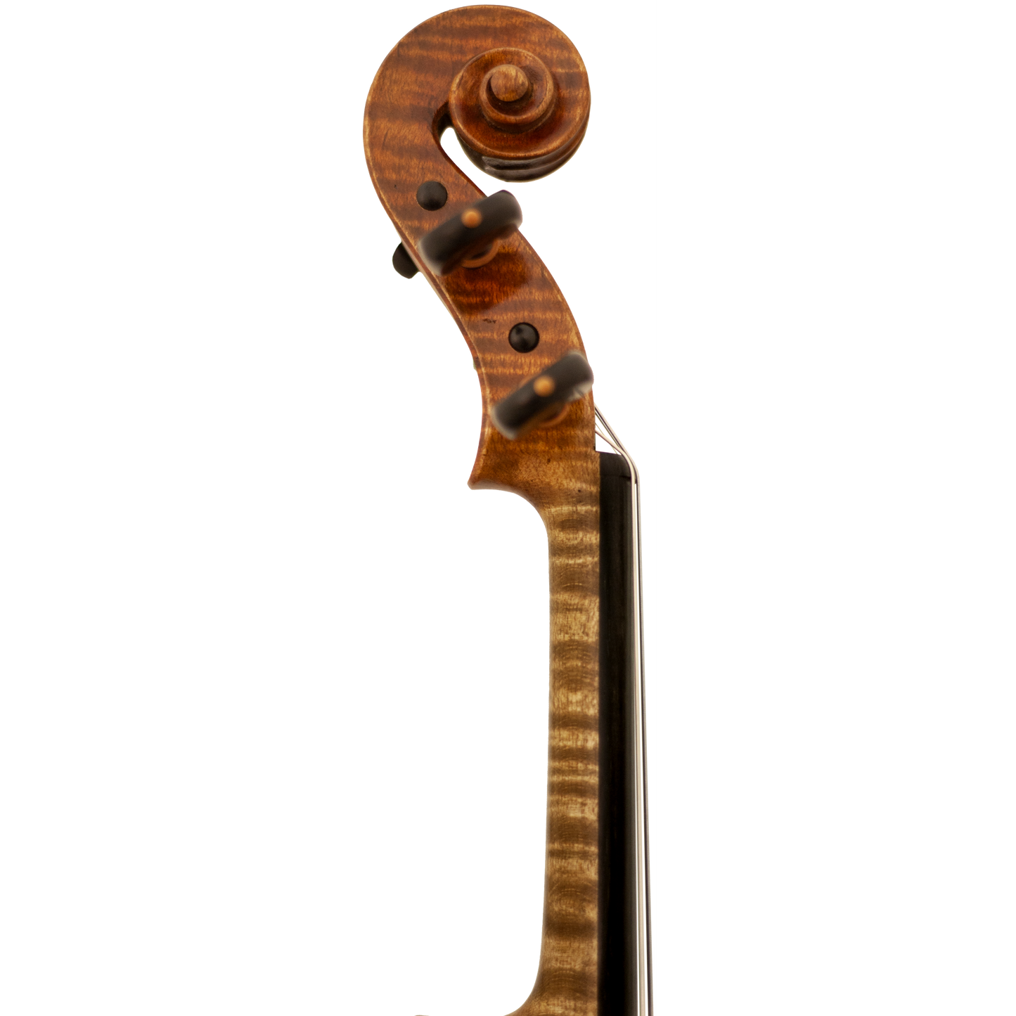 Master Lucienne Maple Leaf Strings Professional Violin with Case String Power - Violin Shop