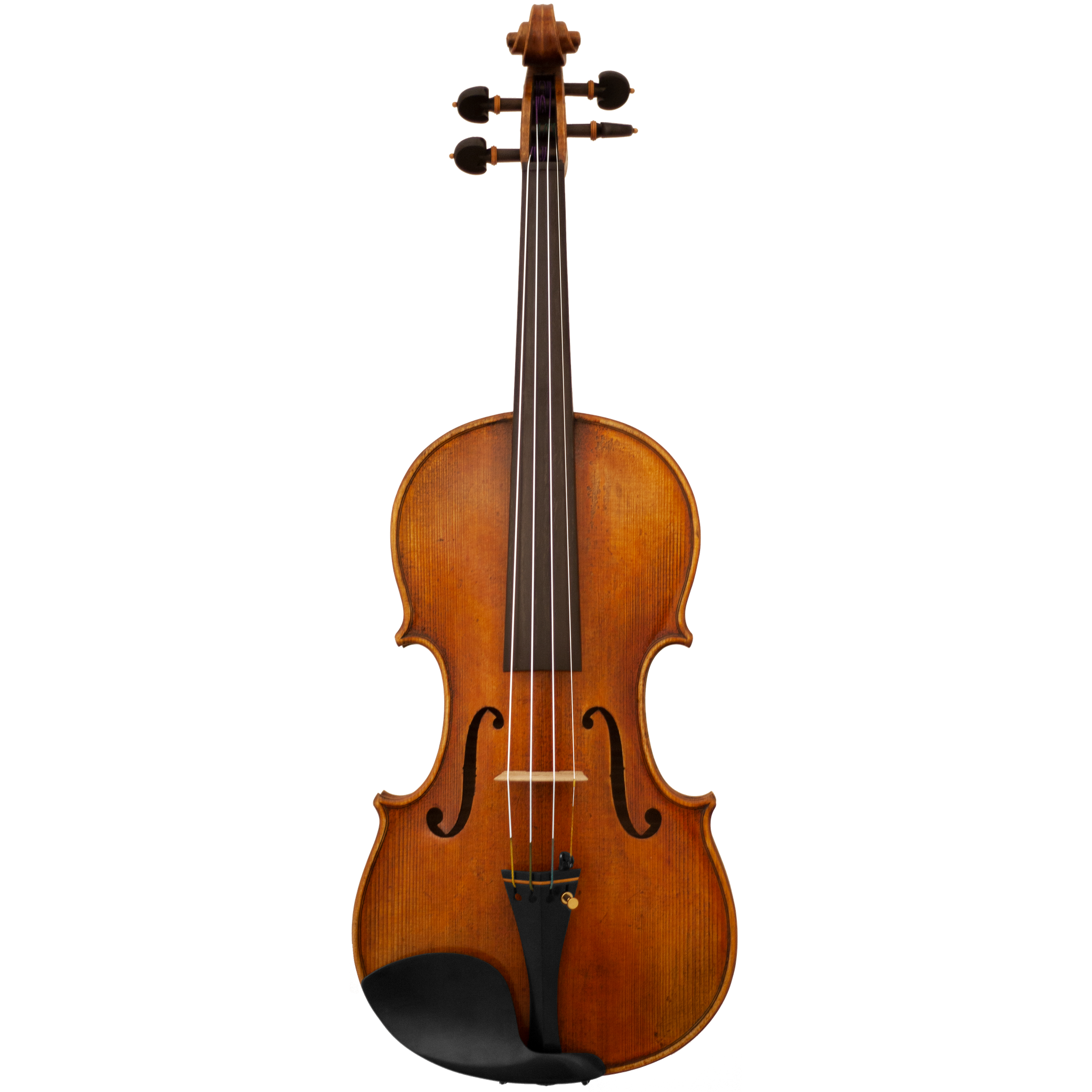 Master Lucienne Maple Leaf Strings Professional Violin with Case String Power - Violin Shop