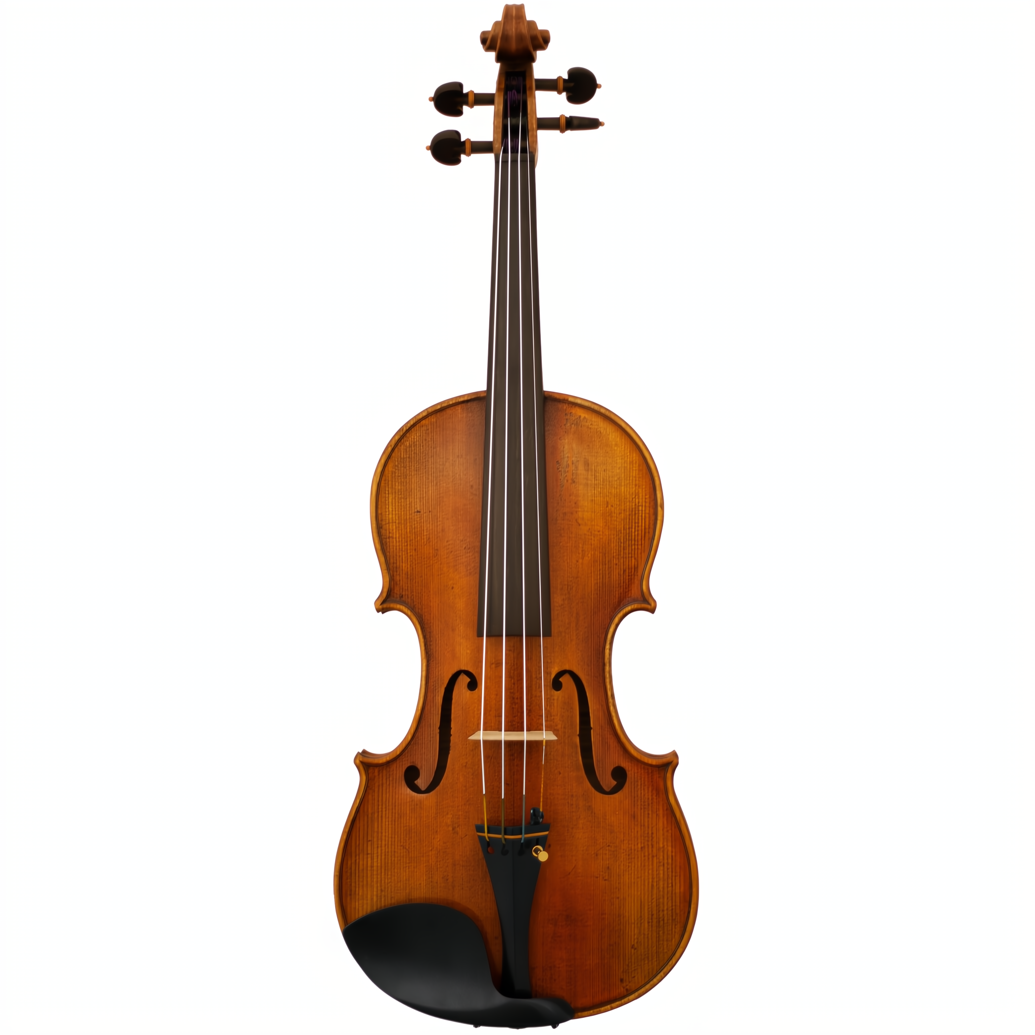 Master Lucienne Maple Leaf Strings Professional Violin with Case