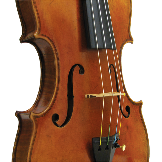 Master Xu Maple Leaf Strings Professional Viola with Case String Power - Violin Shop