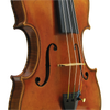 Master Xu Maple Leaf Strings Professional Viola with Case String Power - Violin Shop
