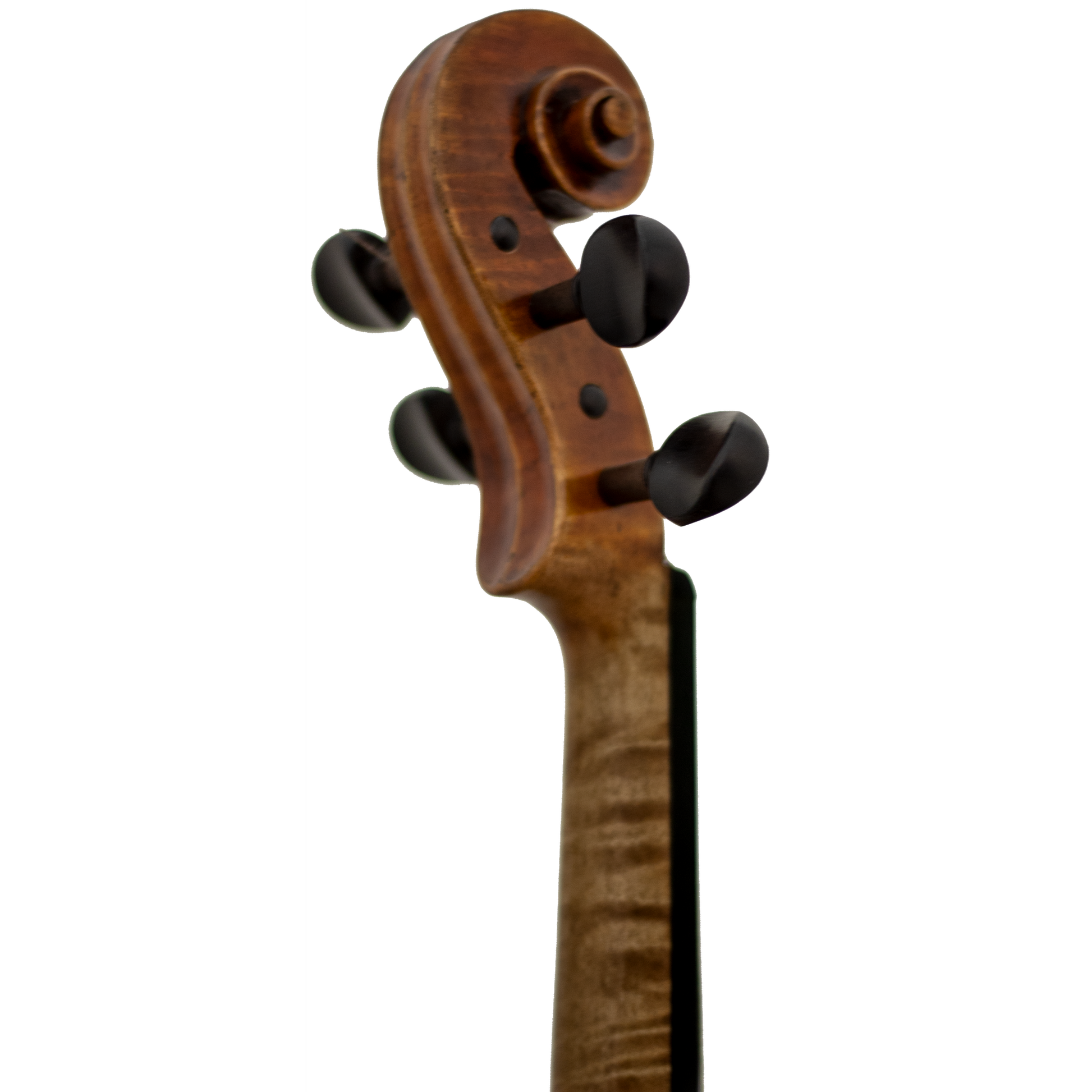 Master Xu Maple Leaf Strings Professional Viola with Case String Power - Violin Shop