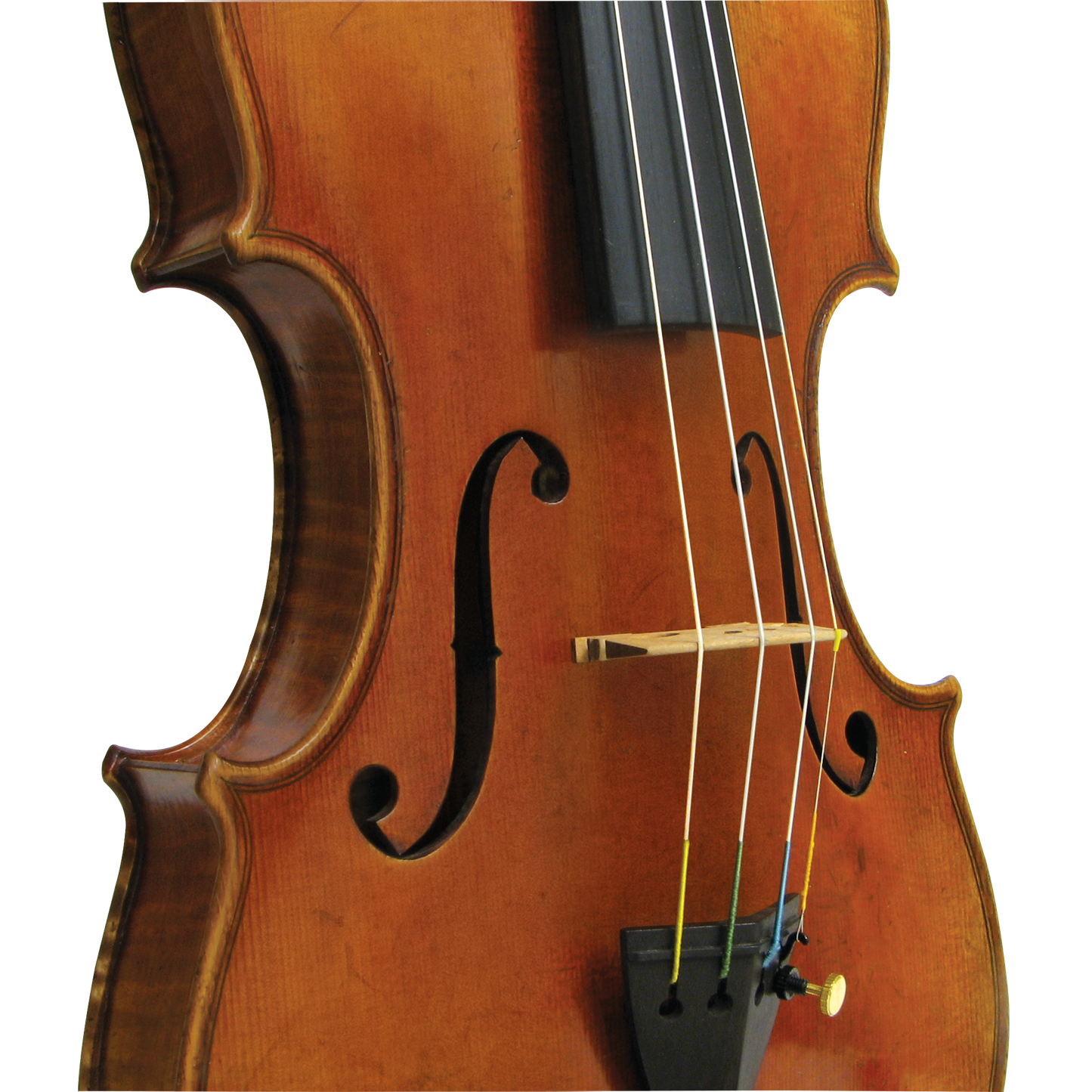 Master Xu Maple Leaf Strings Professional Violin with Case String Power - Violin Shop