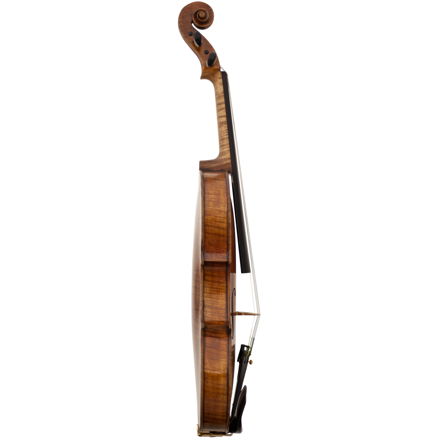 Master Xu Maple Leaf Strings Professional Violin with Case String Power - Violin Shop