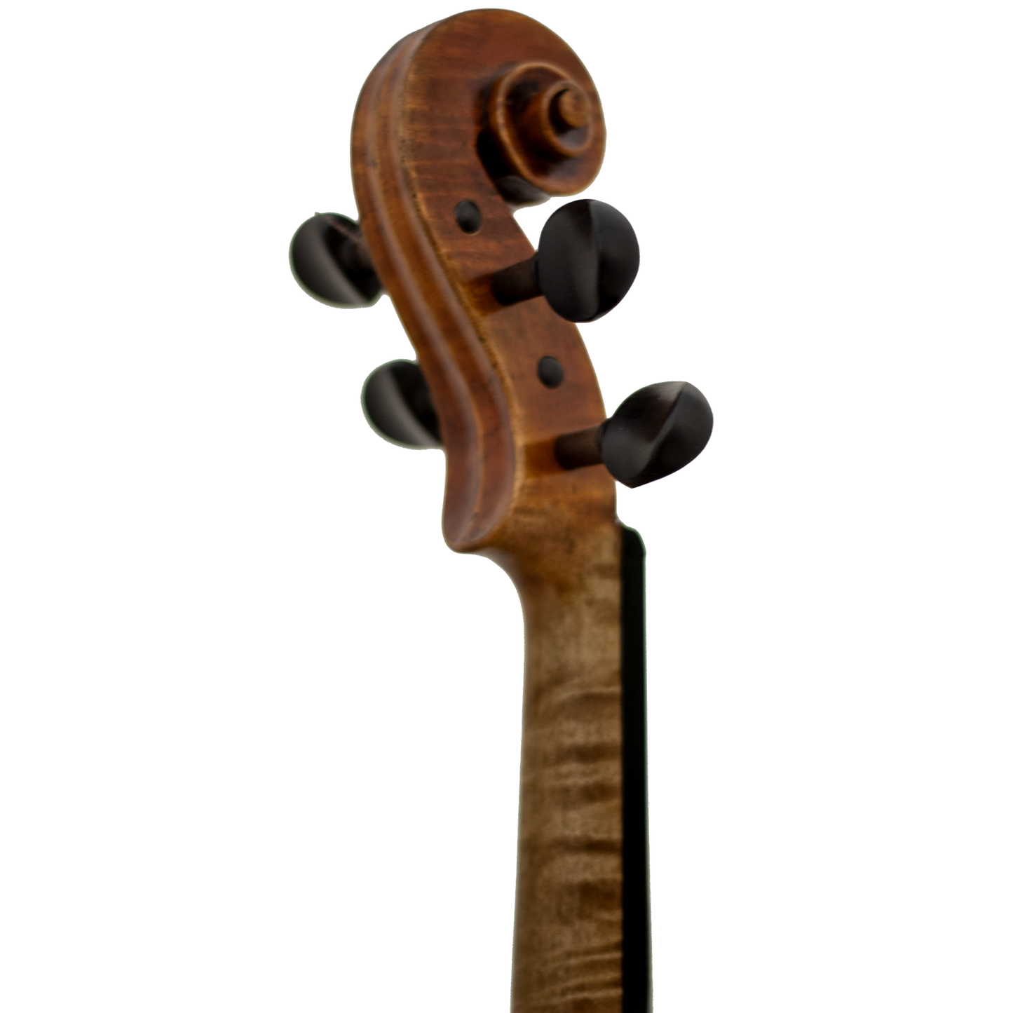 Master Xu Maple Leaf Strings Professional Violin with Case String Power - Violin Shop
