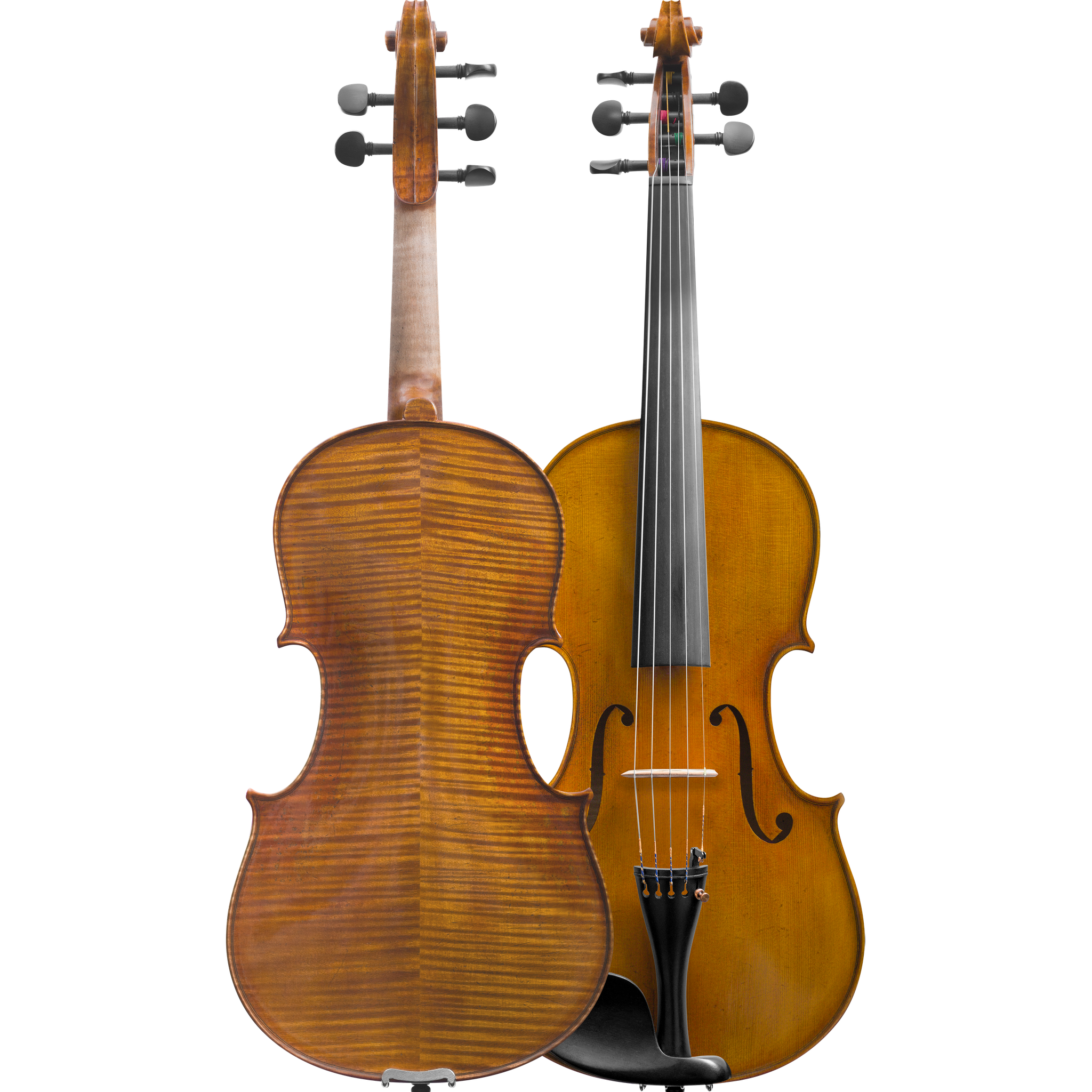 Medici Maple Leaf Advanced Viola 5-Strings with Case String Power - Violin Shop