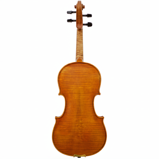 Medici Maple Leaf Strings Advanced Violin with Case