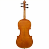 Medici Maple Leaf Strings Advanced Violin with Case