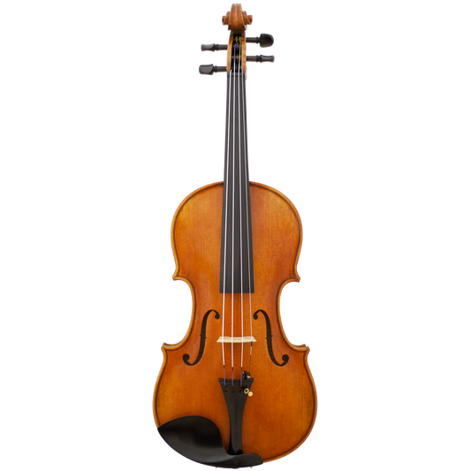 Medici Maple Leaf Strings Advanced Violin with Case String Power - Violin Shop