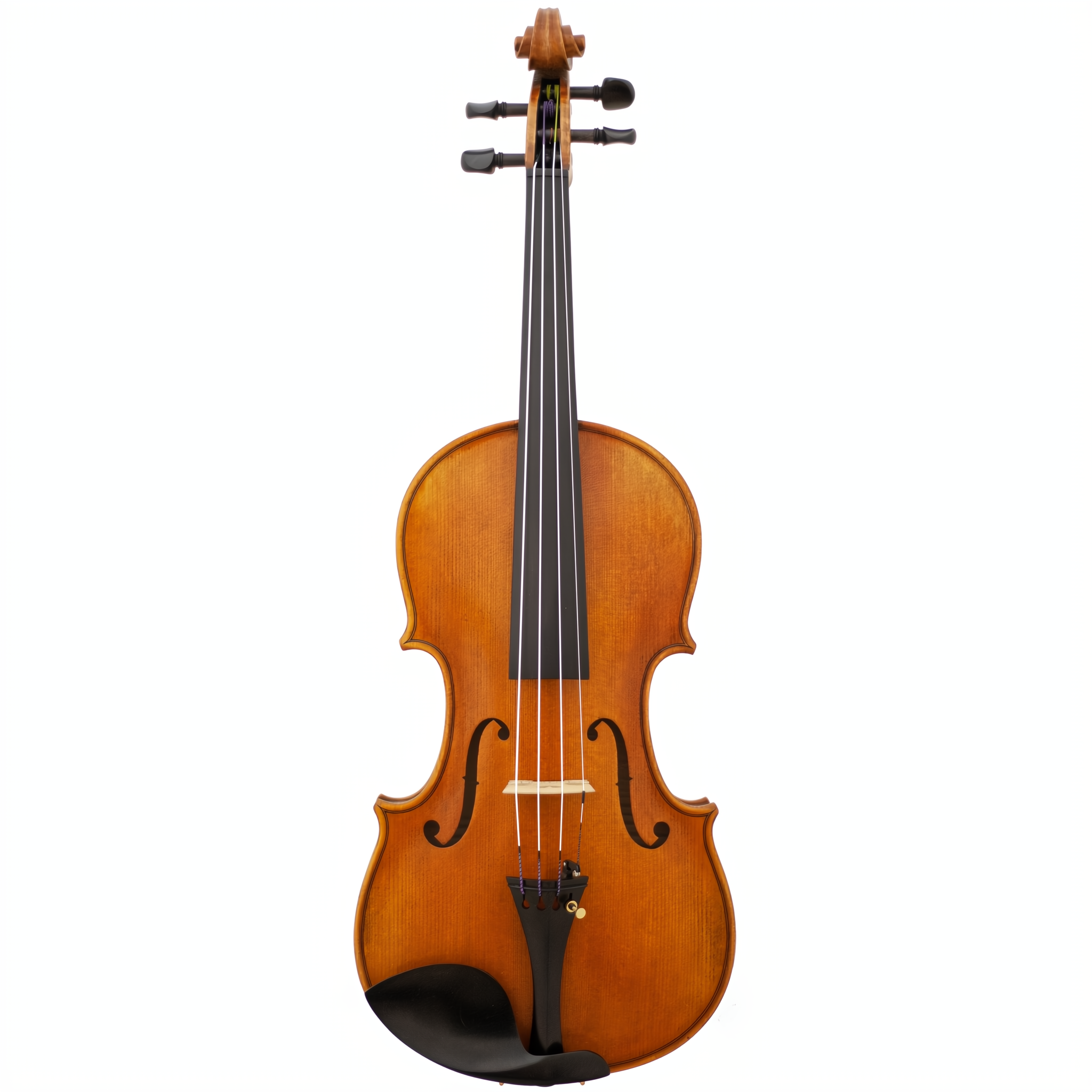 Medici Maple Leaf Strings Advanced Violin with Case