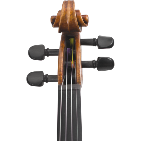 Noble Philip Maple Leaf Strings Advanced Violin with Case String Power - Violin Shop