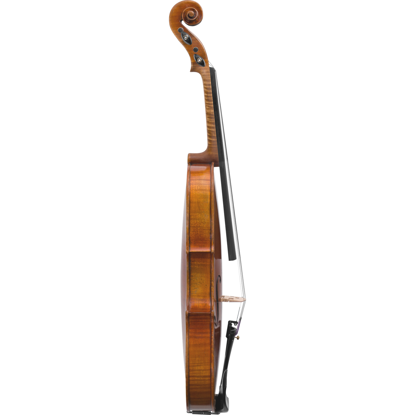 Noble Philip Maple Leaf Strings Advanced Violin with Case String Power - Violin Shop