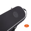 Pedi Violin Case, Niteflash Superlite Pro, P100v