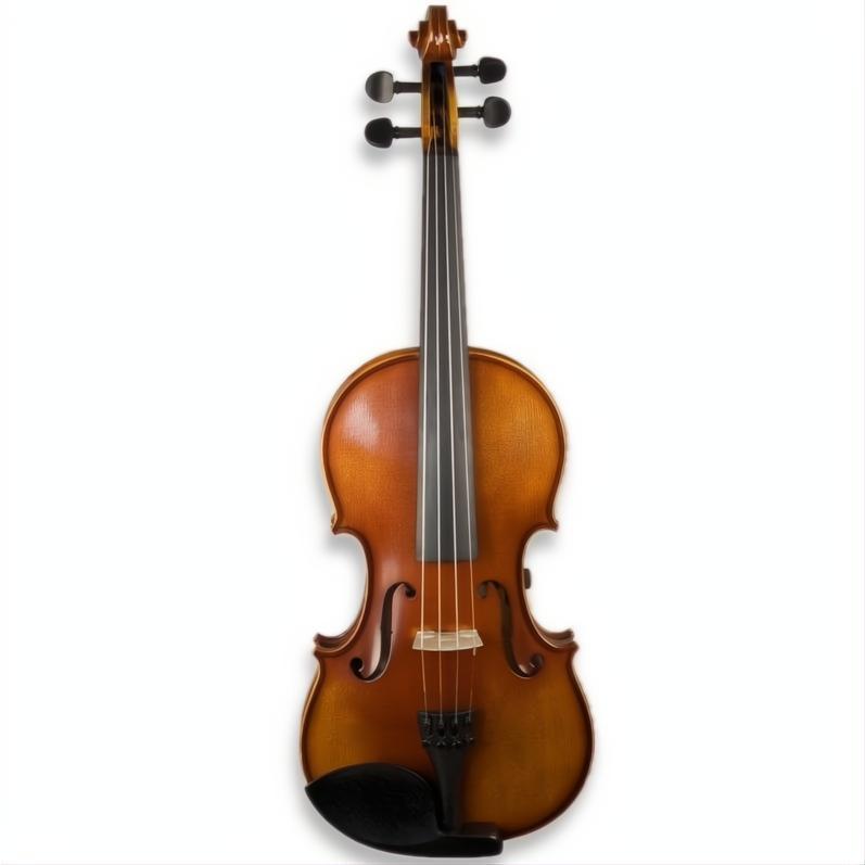 RV4E Realist Acoustic Electric Violin with Case