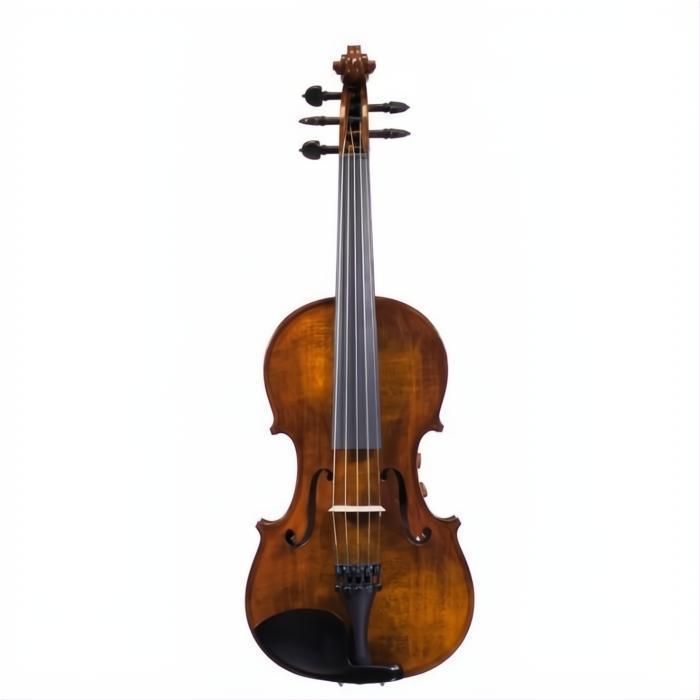 RV4PE Realist PRO Acoustic Electric Violin with Case