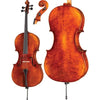 Rocca Core Select Advanced Cello with Bag String Power