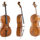 Rubner Gewa Professional Cello with Bag String Power - Violin Shop