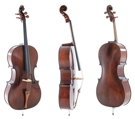 Rubner Gewa Professional Cello with Bag String Power - Violin Shop