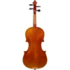 Ruby Maple Leaf Strings Advanced Violin with Case