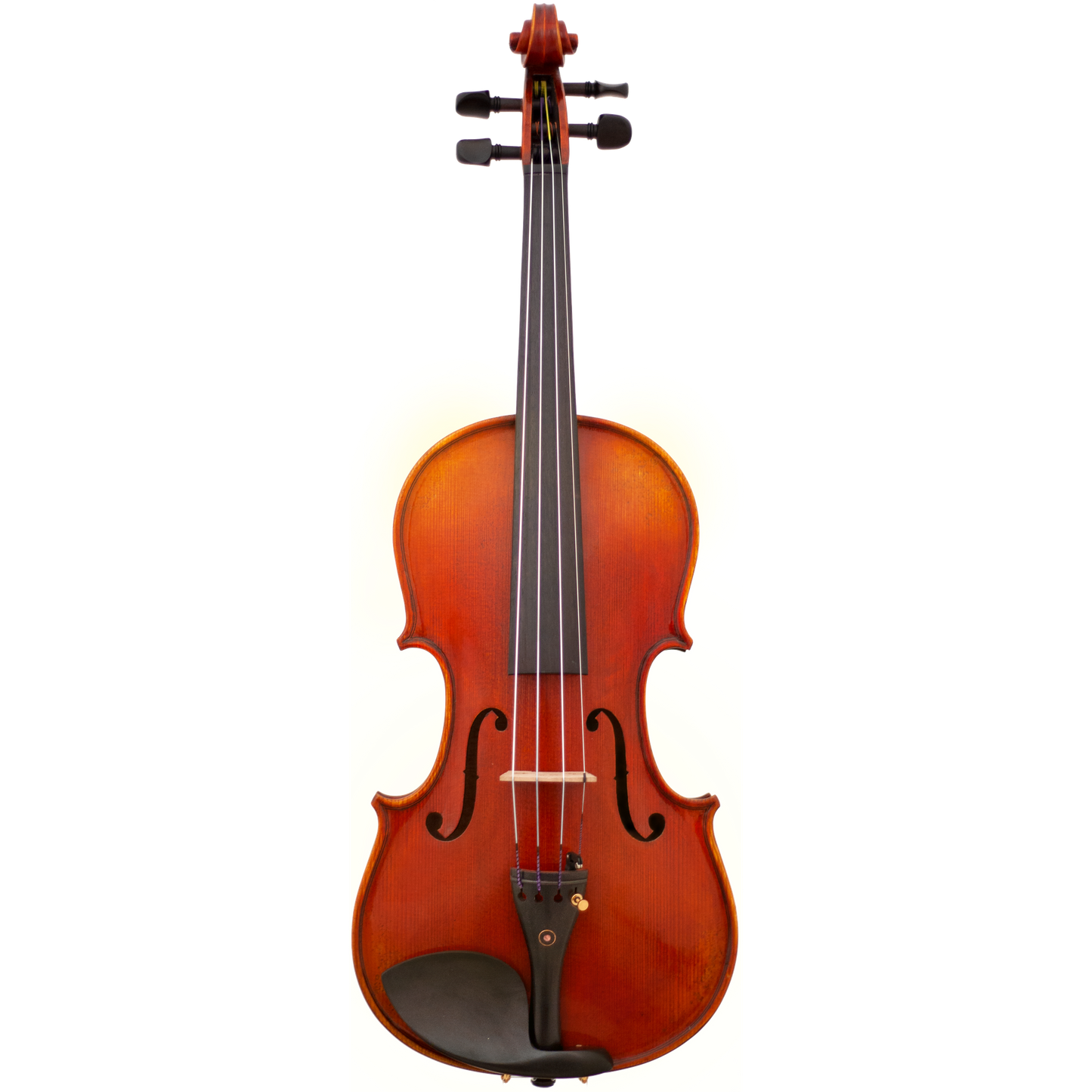Ruby Maple Leaf Strings Advanced Violin with Case String Power - Violin Shop