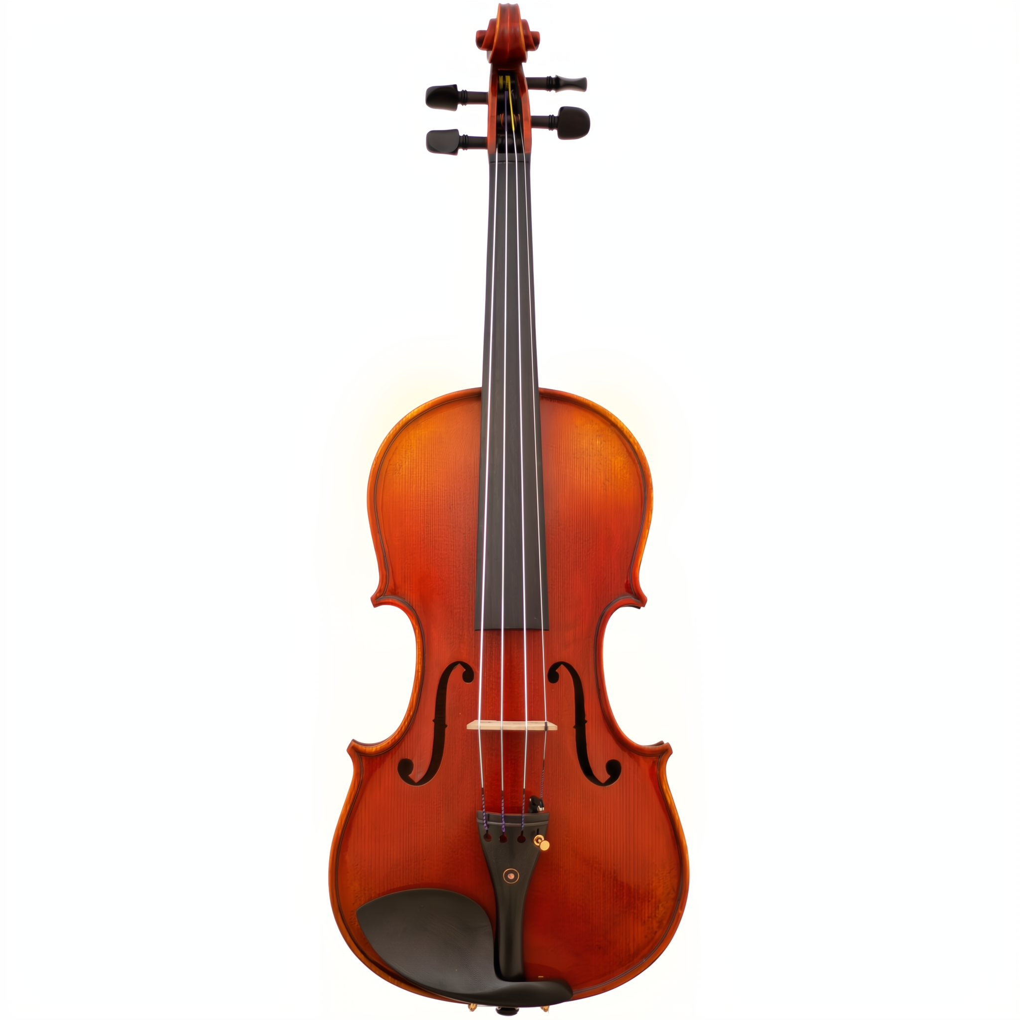 Ruby Maple Leaf Strings Advanced Violin with Case