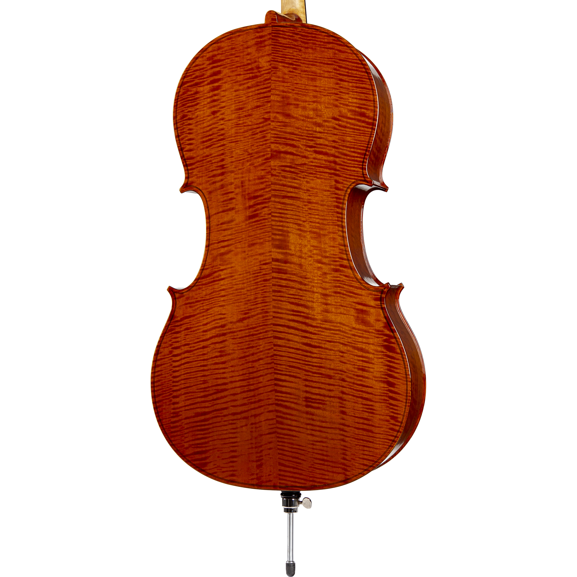 Salzburg Strunal Schonbach Intermediate Cello with Bag String Power - Violin Shop