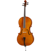 Salzburg Strunal Schonbach Intermediate Cello with Bag