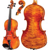 Soil Core Select Advanced Violin with Case String Power