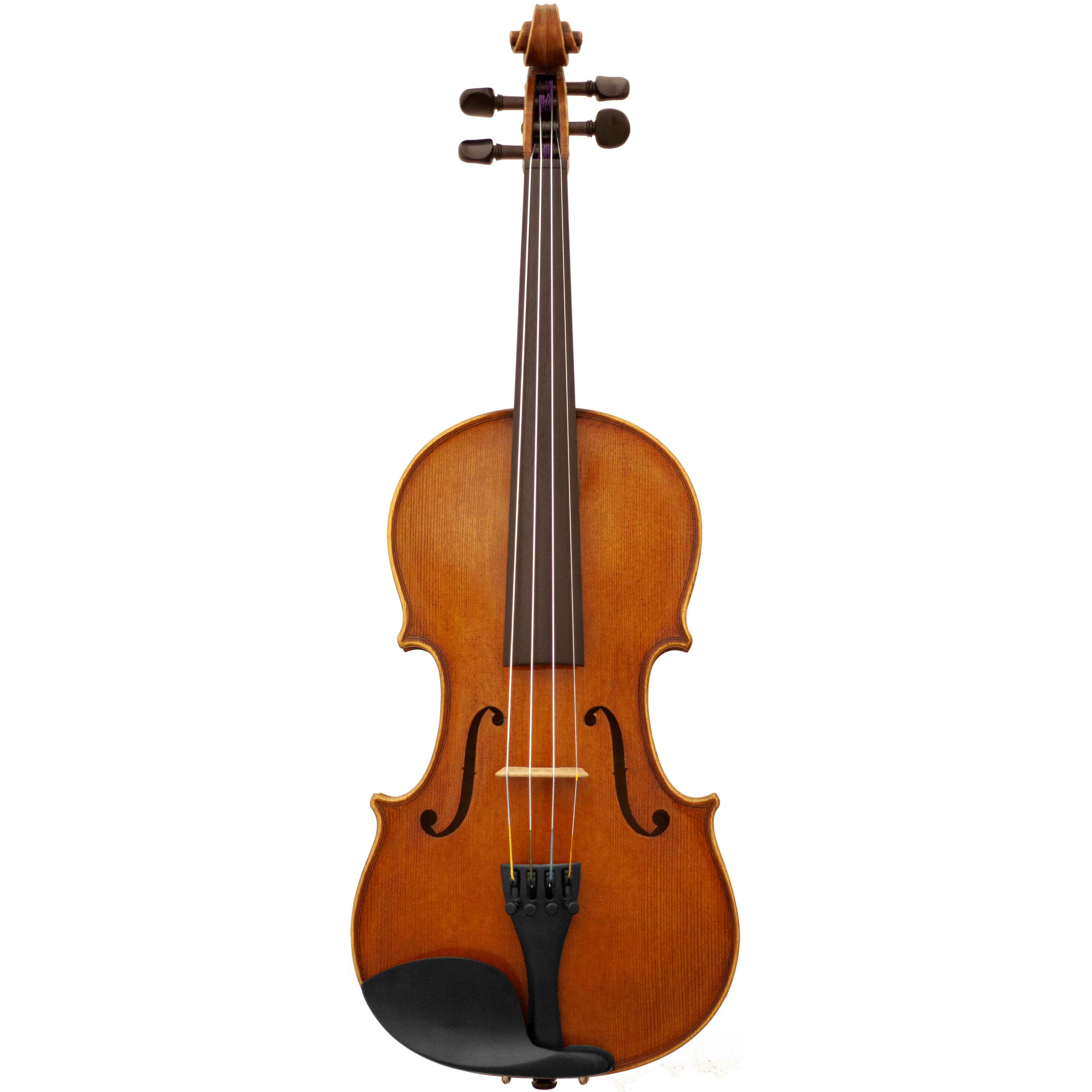 Vieuxtemps Maple Leaf Strings Advanced Viola with Case String Power - Violin Shop