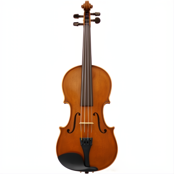 Vieuxtemps Maple Leaf Strings Advanced Violin with Case