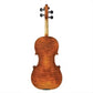170 Juzek Professional Violin with Case