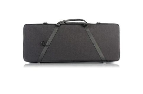 BAM Classic Two Violin Case