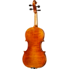 Bieg W Guarneri Model Professional Violin with Case