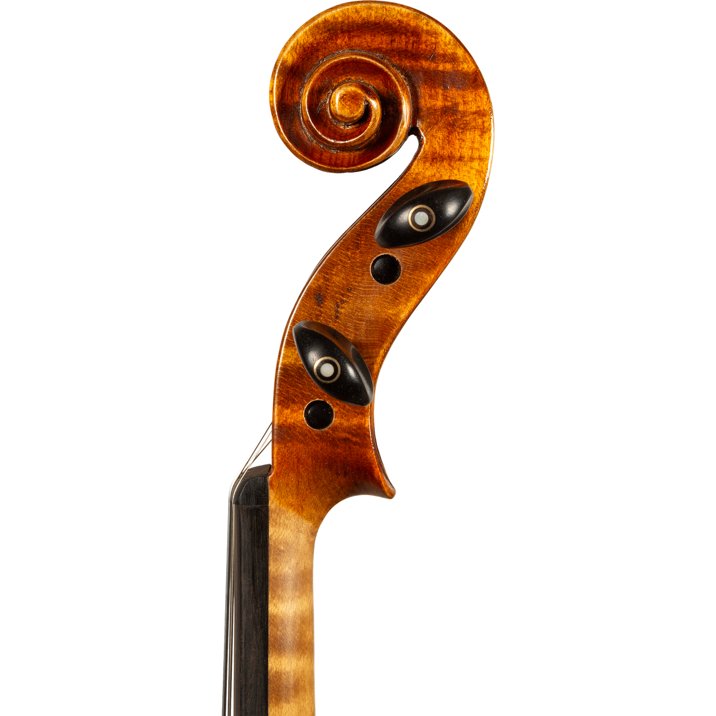 Bieg W Guarneri Model Professional Violin with Case