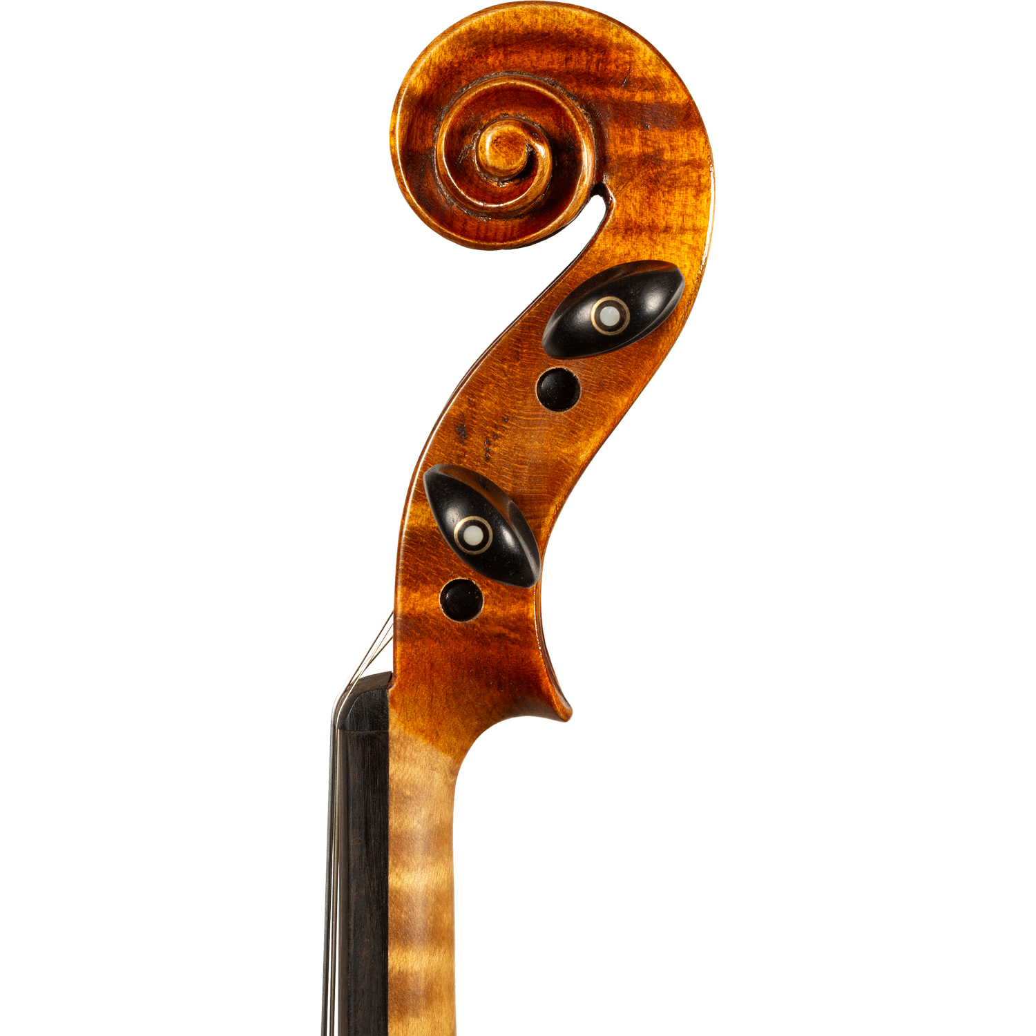 Bieg W Guarneri Model Professional Violin with Case