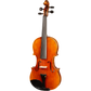 Bieg W Guarneri Model Professional Violin with Case