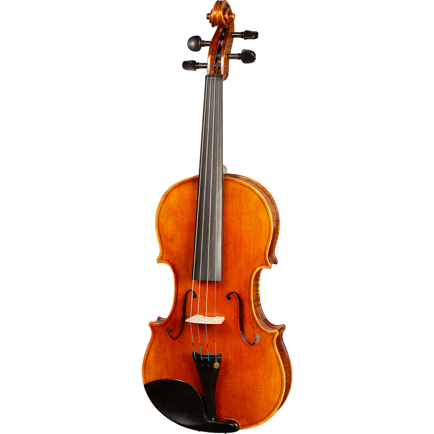 Bieg W Guarneri Model Professional Violin with Case