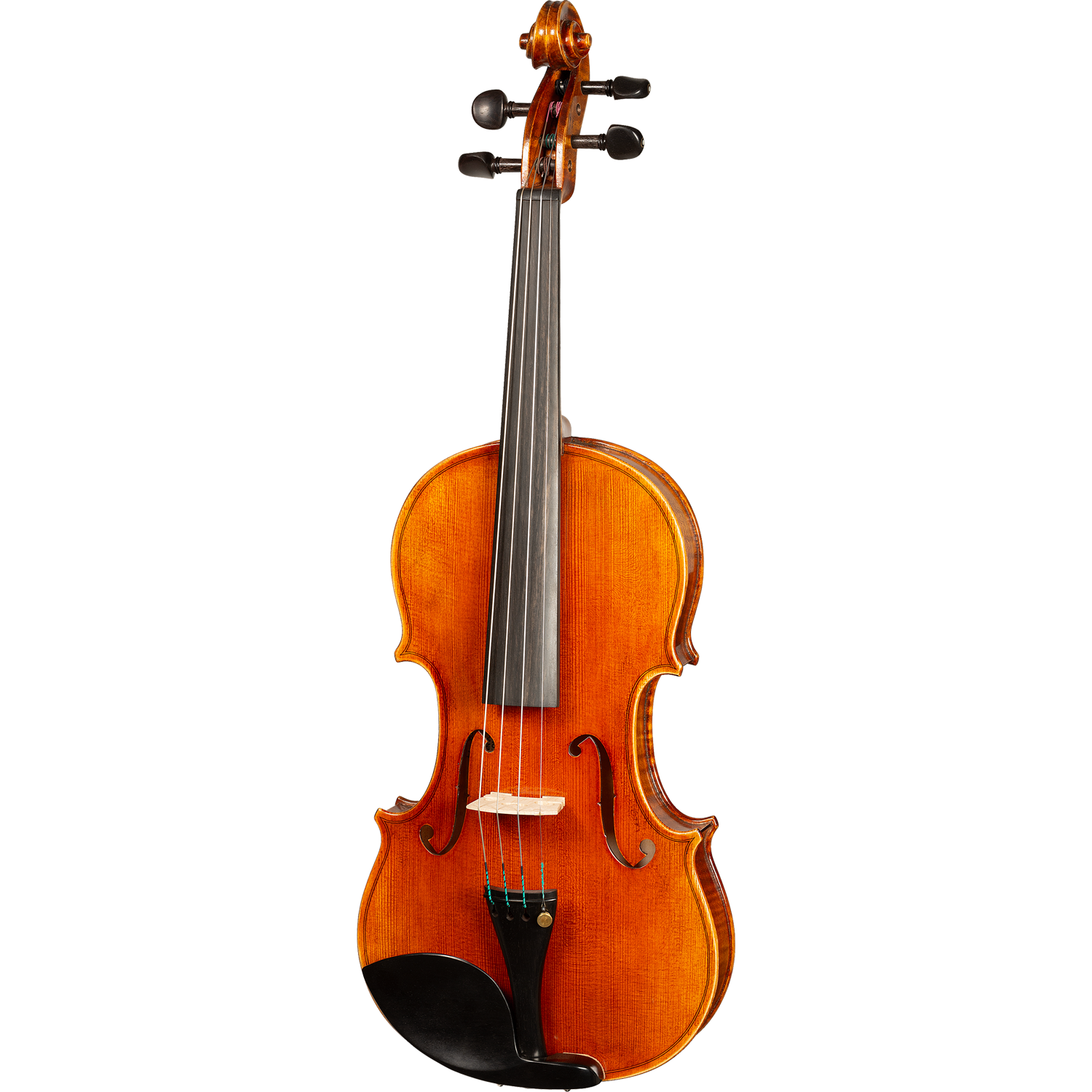 Bieg W Guarneri Model Professional Violin with Case